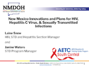 NM Innovations and Plans for HIV HCV and STDs preview