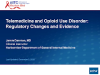 Telemedicine and Opioid Use Disorder: Regulatory Changes and Evidence preview