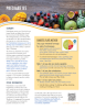 Nutrition Guide Prediabetes preview